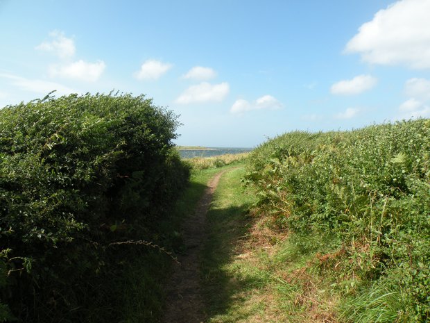  sentier pédestre longeant la mer